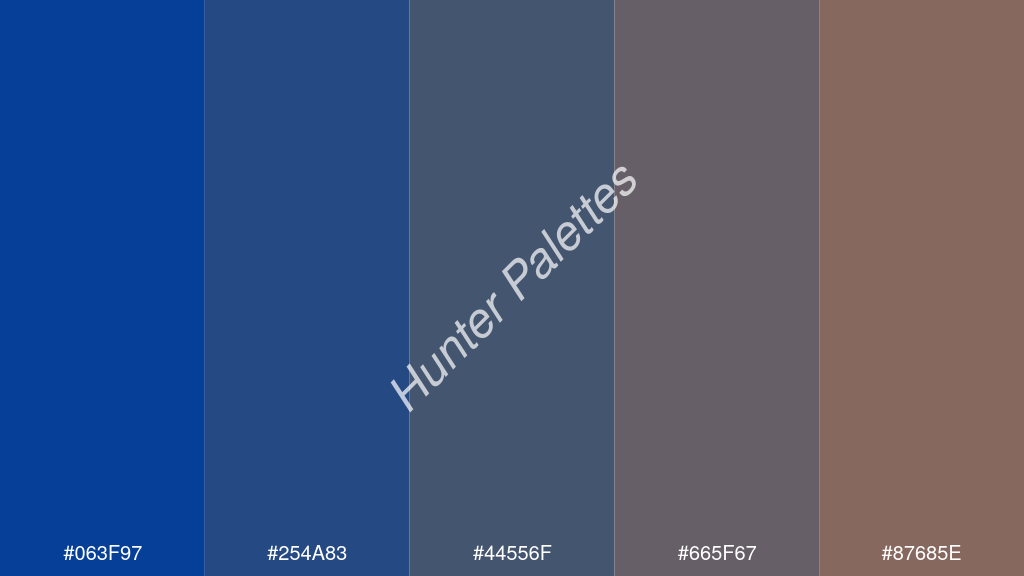 kékes szürke szín palettája a következőkkel: #063f97 #254a83 #44556f #665f67 #87685e