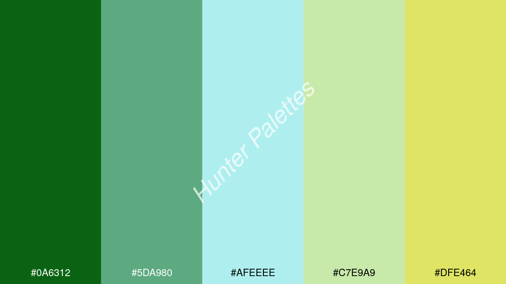 halvány türkiz szín palettája a következőkkel: #0a6312 #5da980 #afeeee #c7e9a9 #dfe464