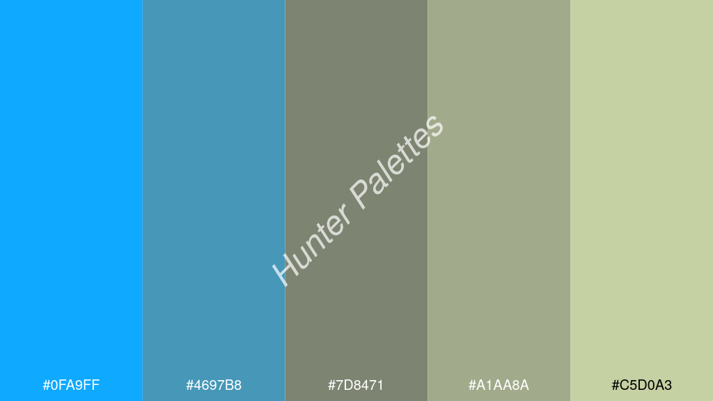 cement szürke szín palettája a következőkkel: #0fa9ff #4697b8 #7d8471 #a1aa8a #c5d0a3