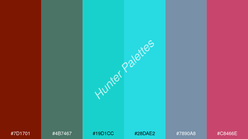 cián szín palettája a következőkkel: #7d1701 #4b7467 #19d1cc #28dae2 #7890a8 #c8466e