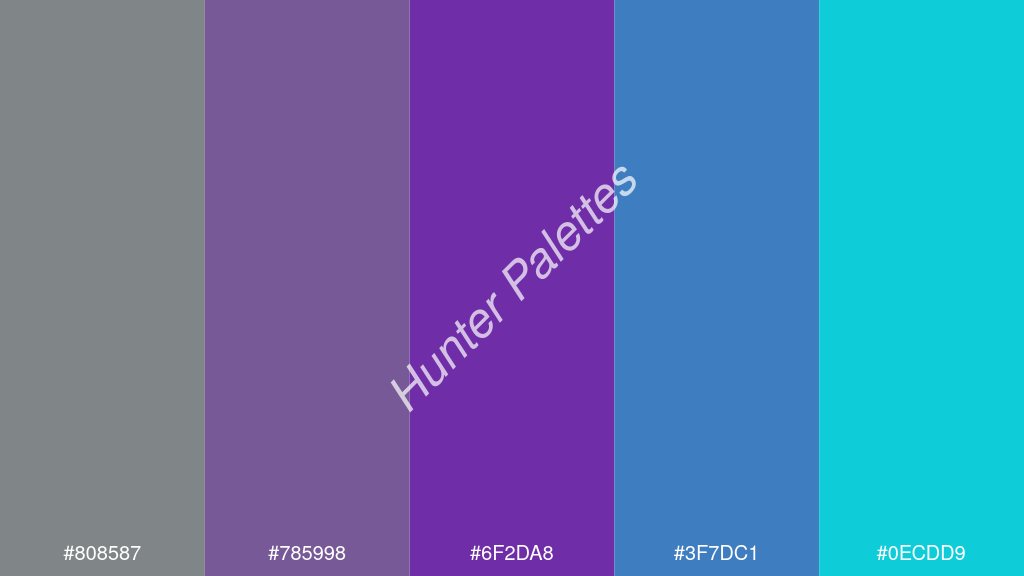 szőlő szín palettája a következőkkel: #808587 #785998 #6f2da8 #3f7dc1 #0ecdd9