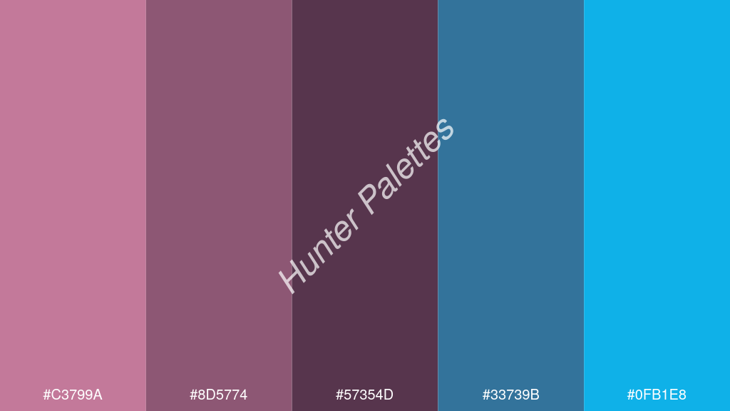 szilva szín palettája a következőkkel: #c3799a #8d5774 #57354d #33739b #0fb1e8