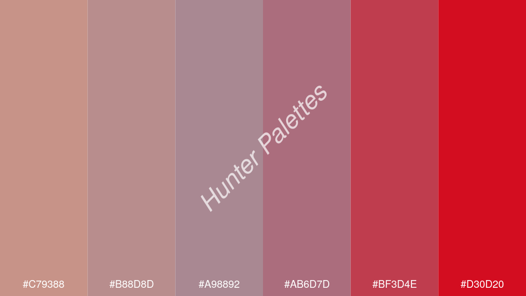 pasztell lila szín palettája a következőkkel: #c79388 #b88d8d #a98892 #ab6d7d #bf3d4e #d30d20
