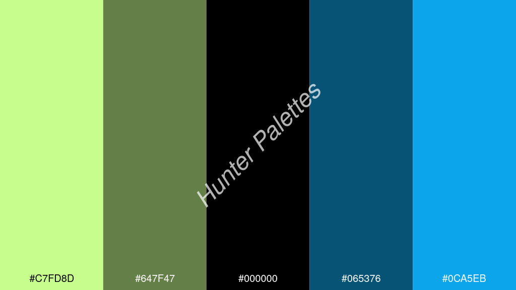 fekete szín palettája a következőkkel: #c7fd8d #647f47 #000000 #065376 #0ca5eb